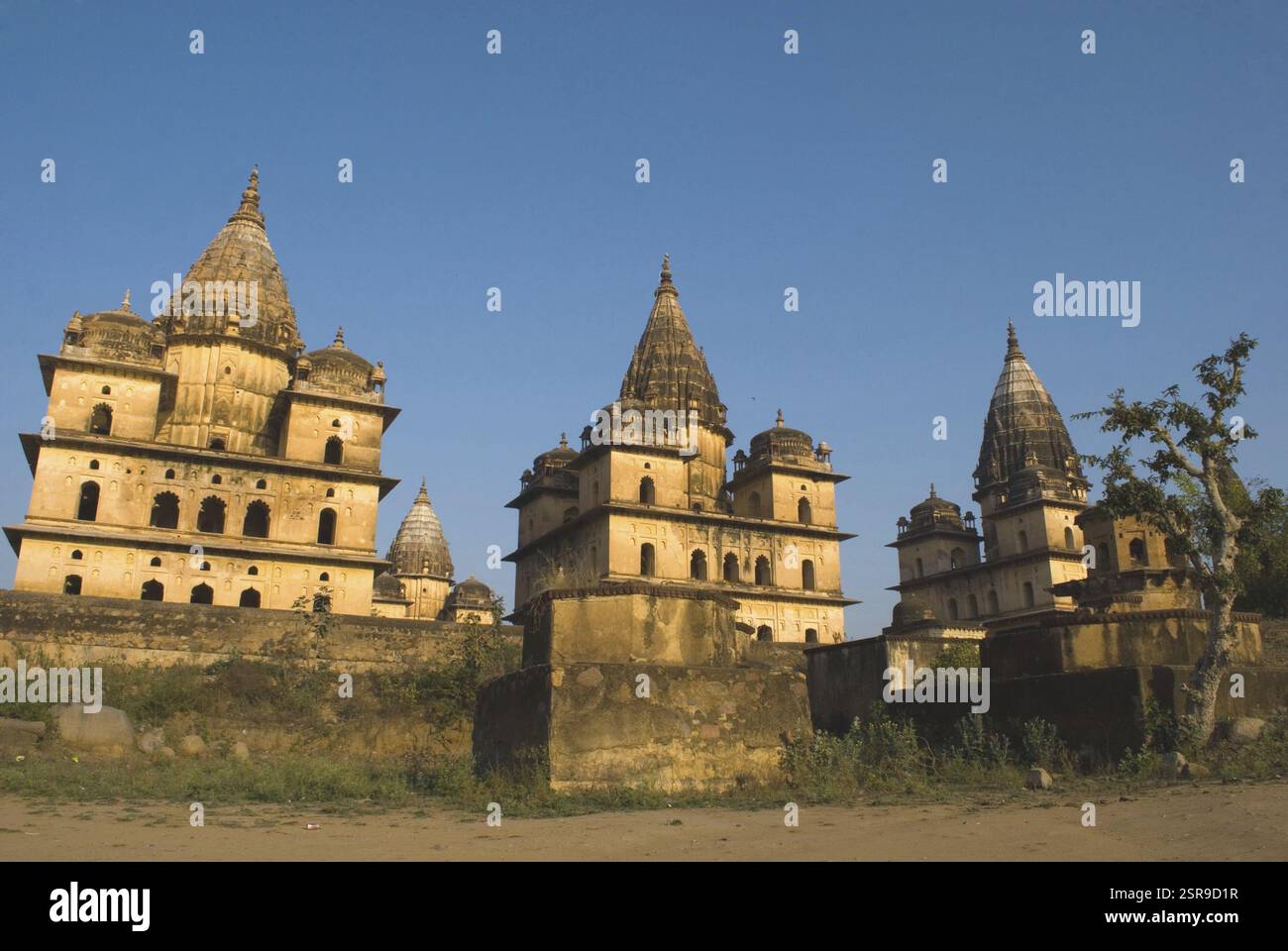 Cenotafi, Orchha, Madhya Pradesh, India, Asia Foto Stock