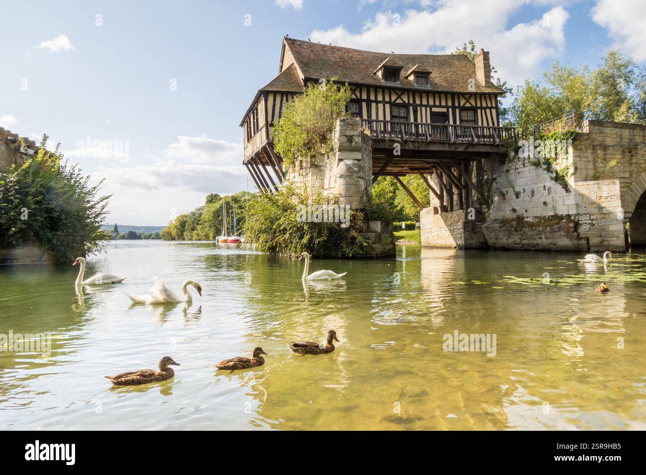 Cigni e anatre che nuotano di fronte al bellissimo vecchio mulino sul ponte rotto sulla Senna a Vernon, Normandia, Francia Foto Stock