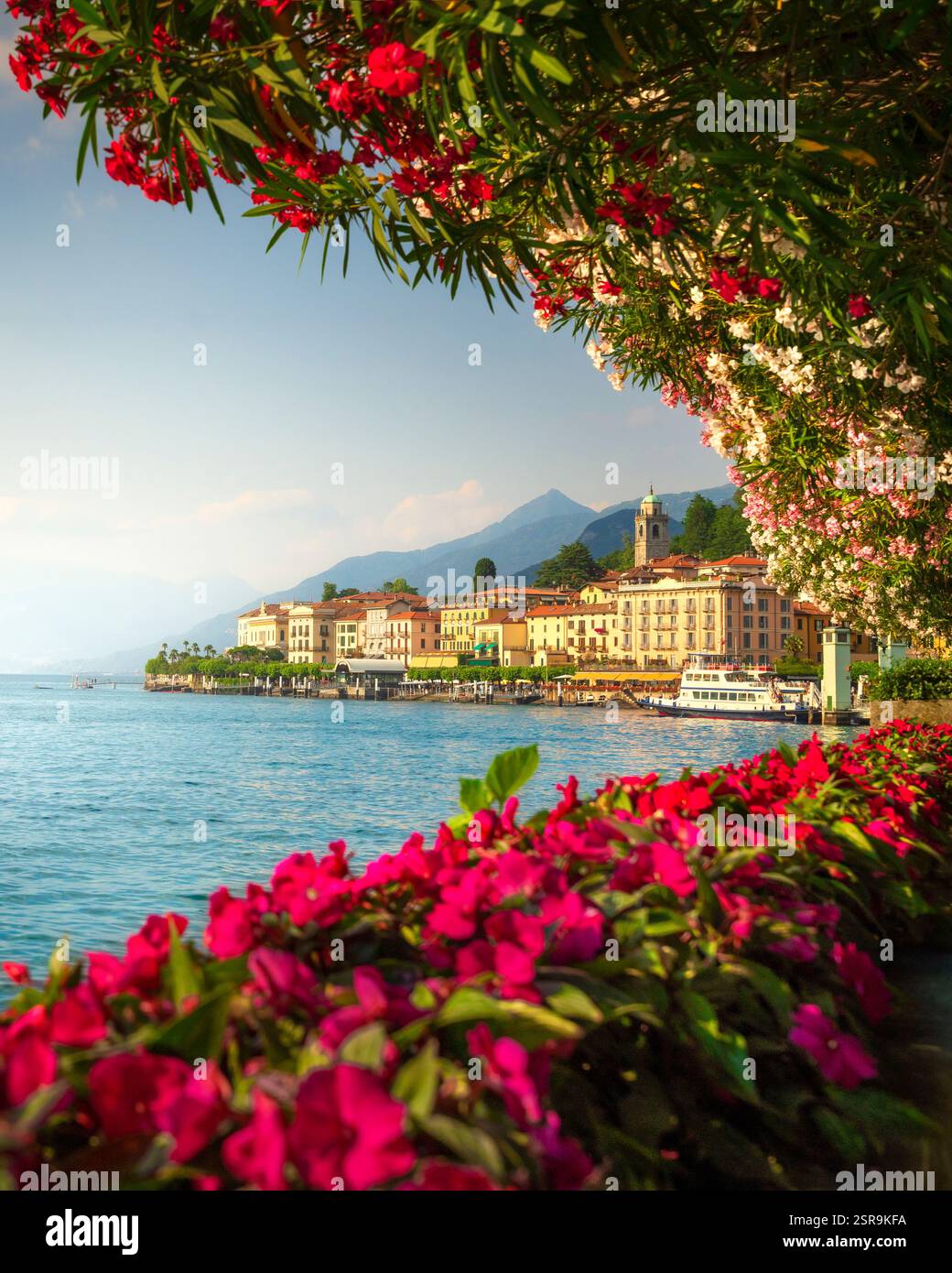 Villaggio di Bellagio, alberi e fiori sul lago di Como. Vista verticale al tramonto. Regione Lombardia, Italia, Europa. Foto Stock