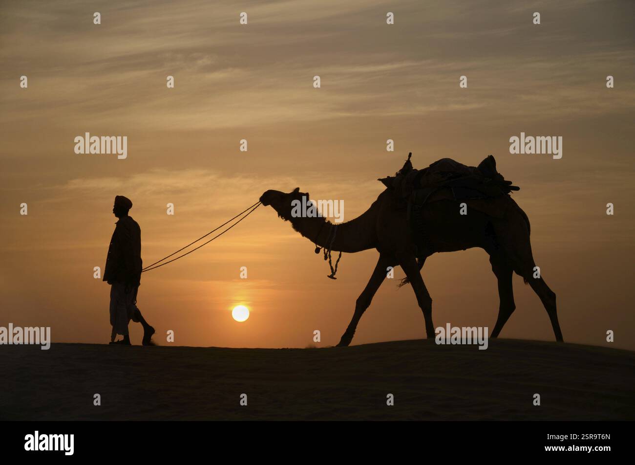 I cammelli e custodi, Jaisalmer, Rajasthan, India, Asia Foto Stock