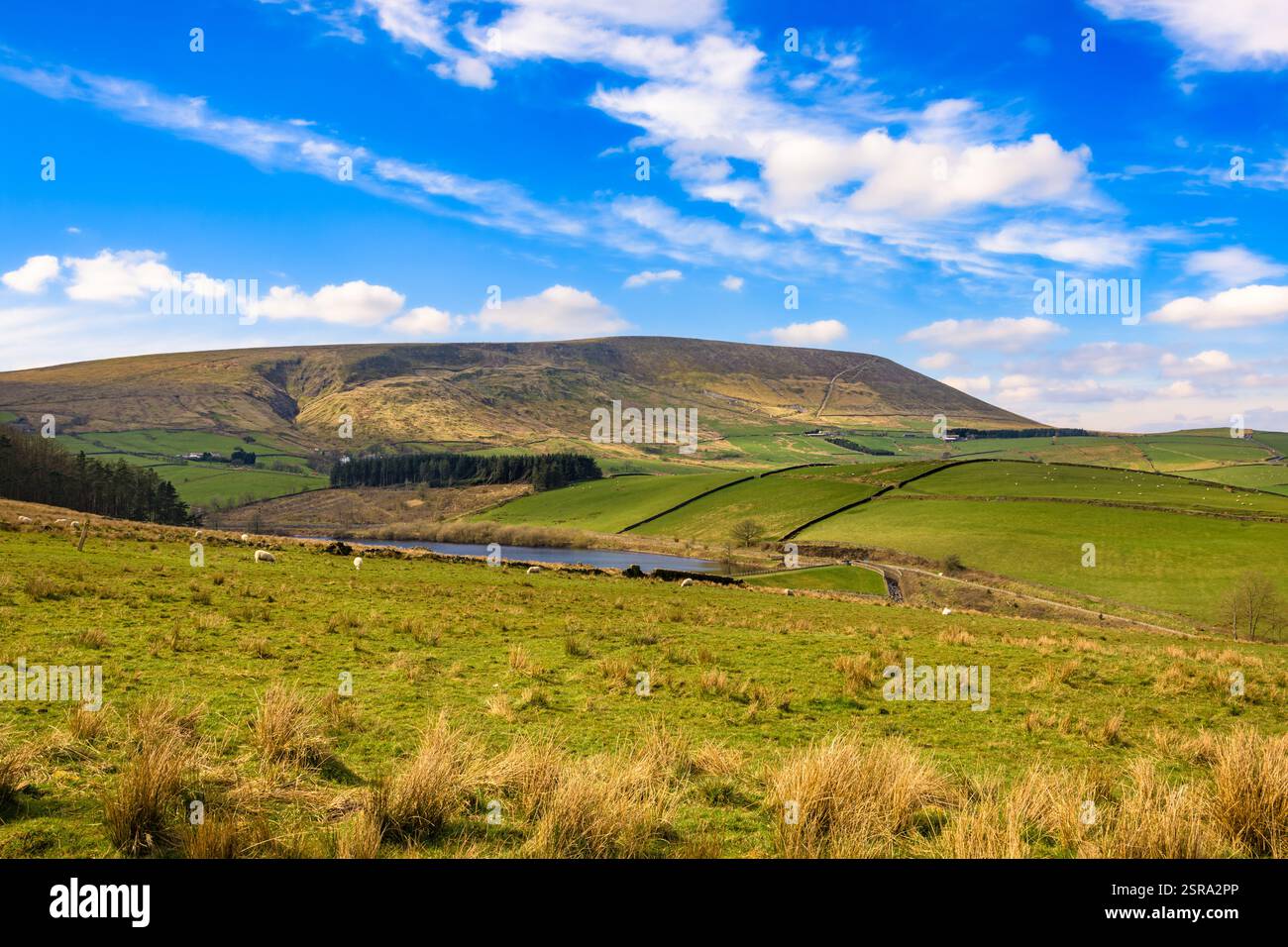 Vista panoramica sulla collina Pendle d'estate. Foresta di Bowland , Lancashire, Inghilterra, Regno Unito Foto Stock