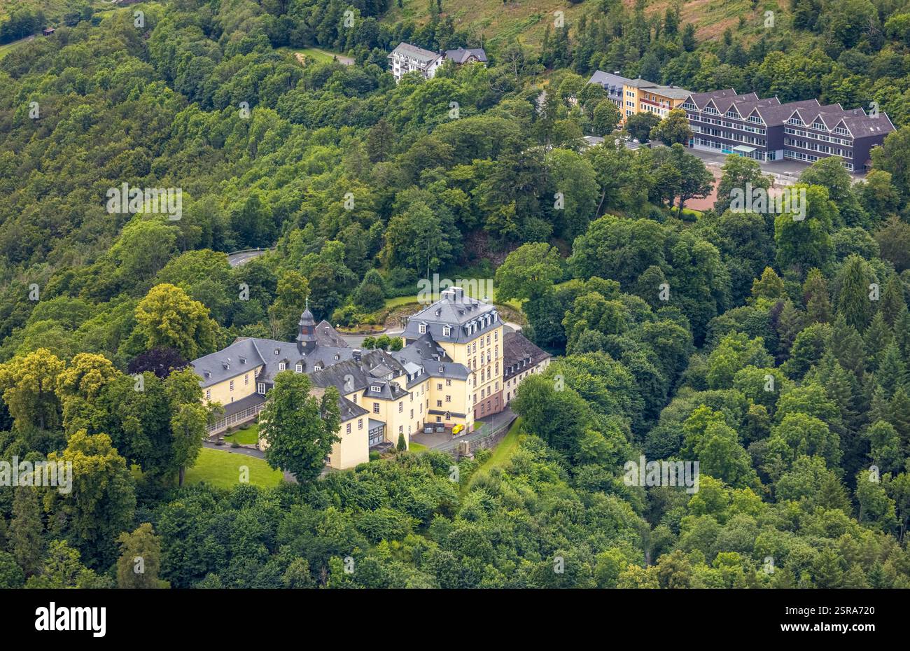 Vista aerea, castello di Wittgenstein, scuola di grammatica e scuola secondaria nella foresta, Wittgenstein Art, Bad Laasphe, Wittgensteiner Land, North Rhine-W Foto Stock