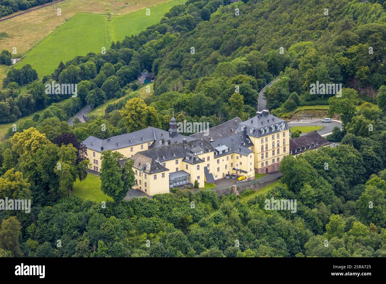 Vista aerea, castello di Wittgenstein nella foresta, Wittgenstein Art, Bad Laasphe, Wittgensteiner Land, Renania settentrionale-Vestfalia, Germania Foto Stock