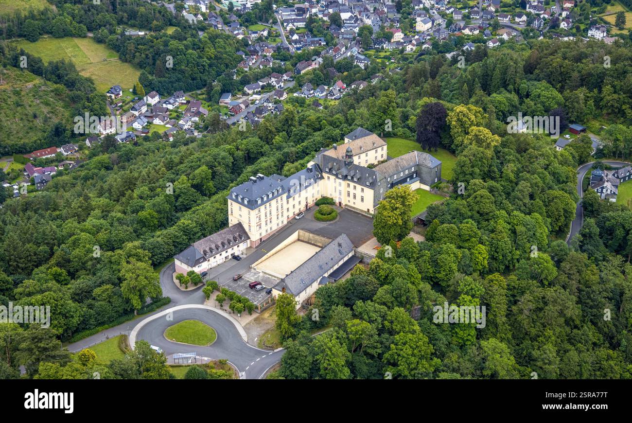 Vista aerea, castello di Wittgenstein nella foresta, Wittgenstein Art, Bad Laasphe, Wittgensteiner Land, Renania settentrionale-Vestfalia, Germania Foto Stock