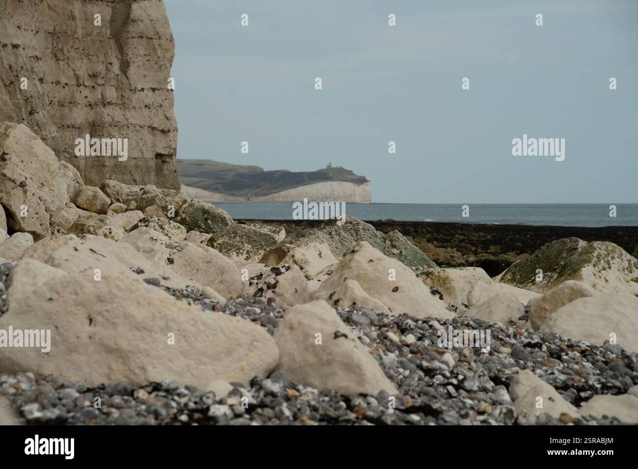 Rocce costiere alla base delle famose White Cliffs of Seven Sisters, Inghilterra. L'erosione e gli agenti atmosferici sono evidenti. Foto Stock