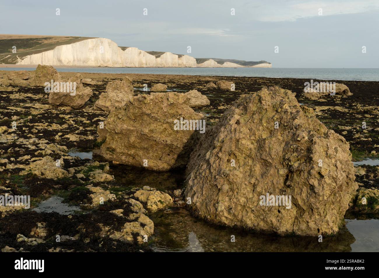 Seashore presso Seven Sisters Cliffs, East Sussex, Regno Unito. Grandi rocce con bassa marea, con le iconiche scogliere di gesso bianco sullo sfondo. Foto Stock