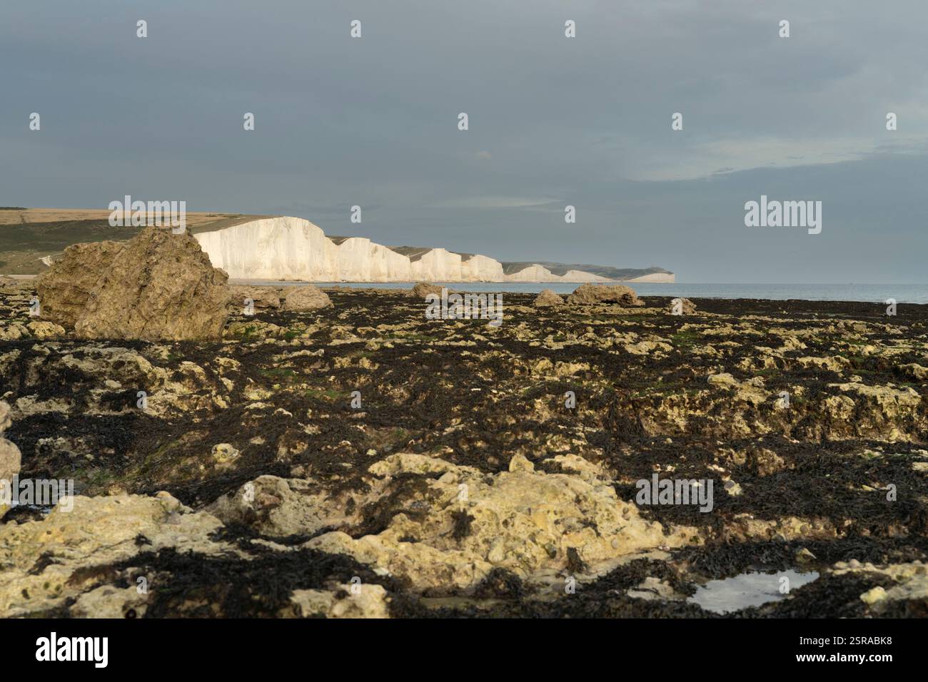 The Seven Sisters Cliffs, East Sussex, Regno Unito. La bassa marea rivela una costa rocciosa ricoperta di alghe marine. Paesaggio costiero. Foto Stock