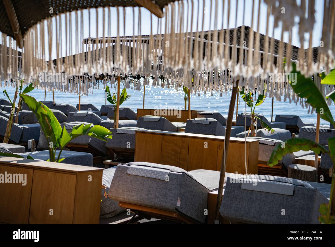 Sedie a sdraio e ombrelloni sulla spiaggia Foto Stock