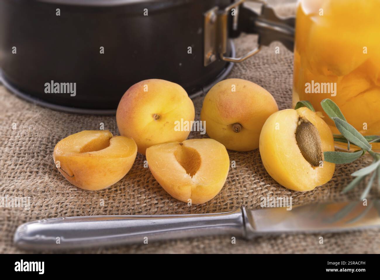 Mirabelle Foto Stock