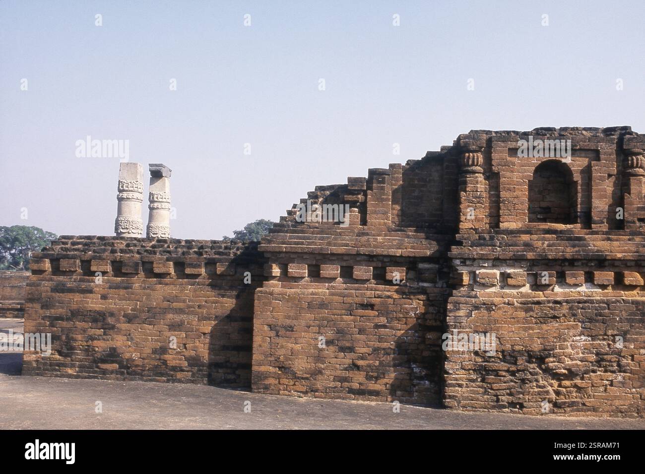 Nalanda complesso universitario con colonne scolpite, Nalanda, Bihar, in India, Asia Foto Stock