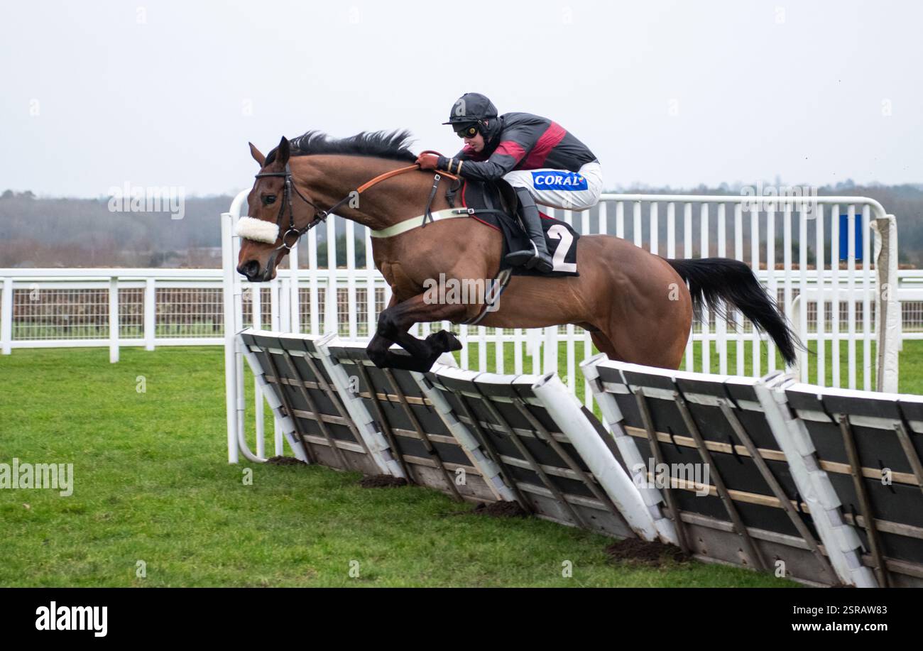 Ascot, Regno Unito. Sabato 15 febbraio 2025. First Confession e Brendan Powell vincono l'ostacolo Novices dei podcast Betfair Racing per l'allenatore Joe Tizzard e i proprietari Kevan Leggett, Susan e John Waterworth. Crediti JTW equine Images / Alamy Live News Foto Stock