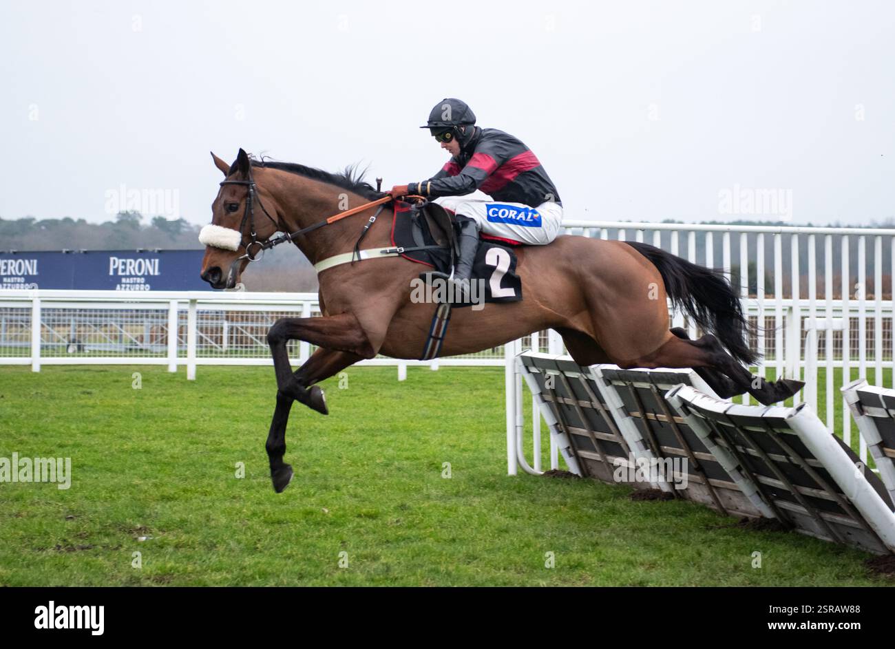 Ascot, Regno Unito. Sabato 15 febbraio 2025. First Confession e Brendan Powell vincono l'ostacolo Novices dei podcast Betfair Racing per l'allenatore Joe Tizzard e i proprietari Kevan Leggett, Susan e John Waterworth. Crediti JTW equine Images / Alamy Live News Foto Stock
