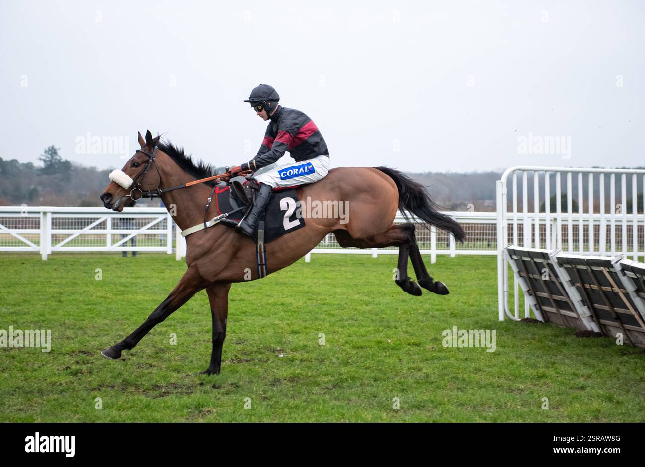Ascot, Regno Unito. Sabato 15 febbraio 2025. First Confession e Brendan Powell vincono l'ostacolo Novices dei podcast Betfair Racing per l'allenatore Joe Tizzard e i proprietari Kevan Leggett, Susan e John Waterworth. Crediti JTW equine Images / Alamy Live News Foto Stock