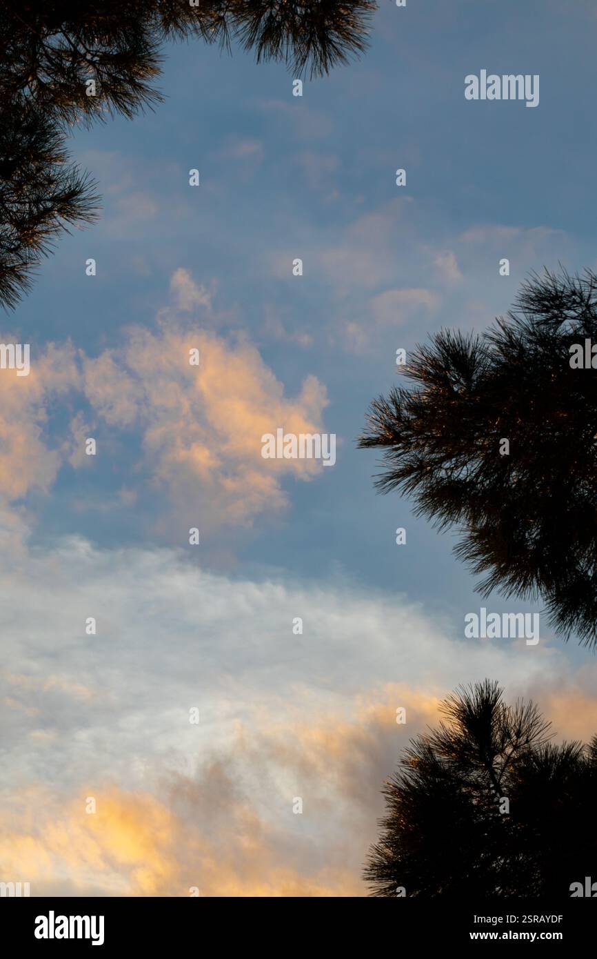 Il cielo di Lisbona è dipinto in tonalità dorate, un tramonto mozzafiato per concludere la giornata. Foto Stock