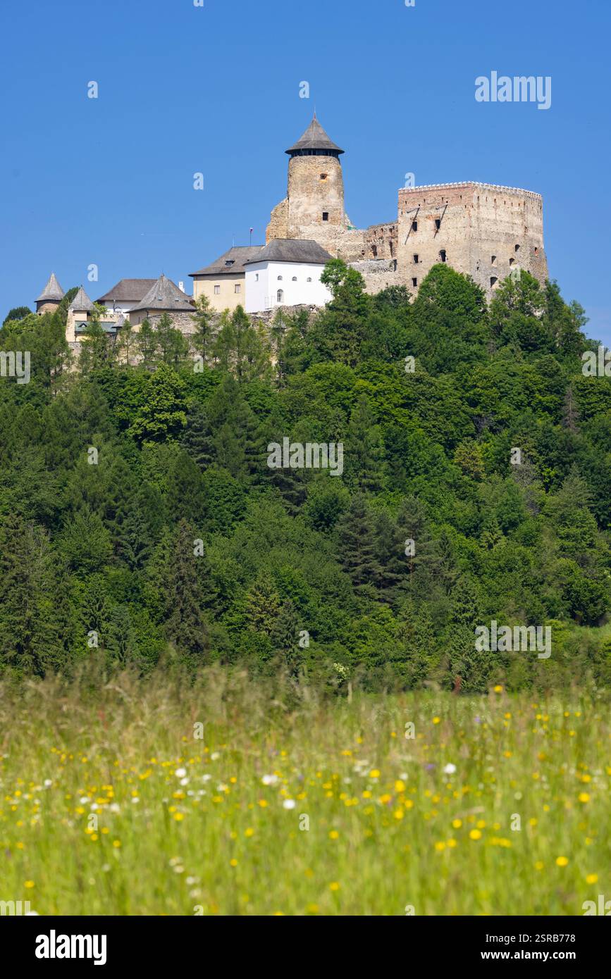 Castello di Stara Lubovna, regione di Presov, Slovacchia Foto Stock