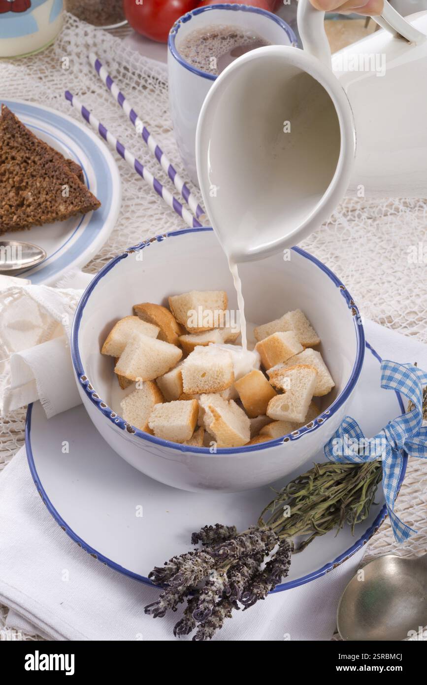 Tradizionalmente pobs polacco sono solo pezzi di pane imbevuto di latte caldo Foto Stock
