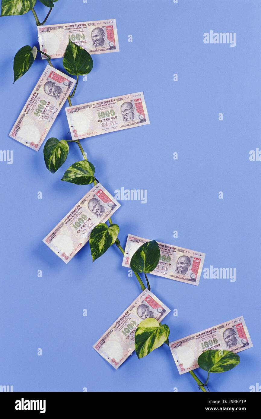 Concetto, soldi che crescono come piante Foto Stock