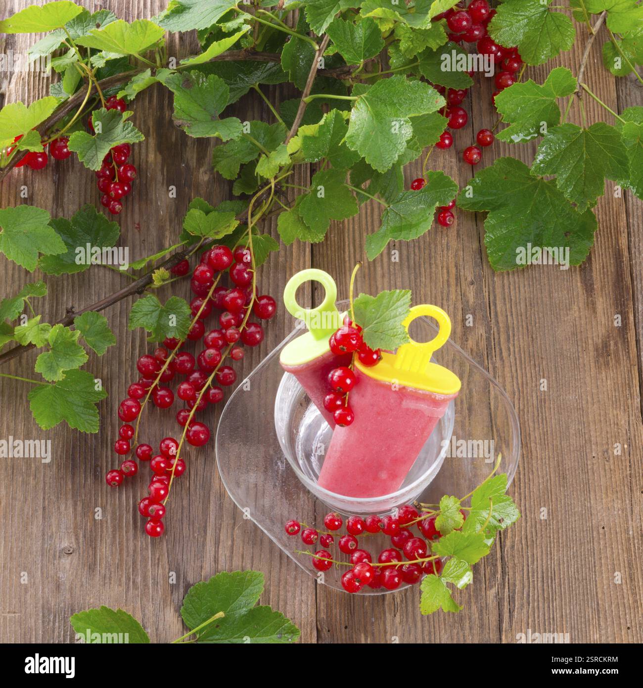 Ghiaccio d'acqua di ribes fatto in casa Foto Stock