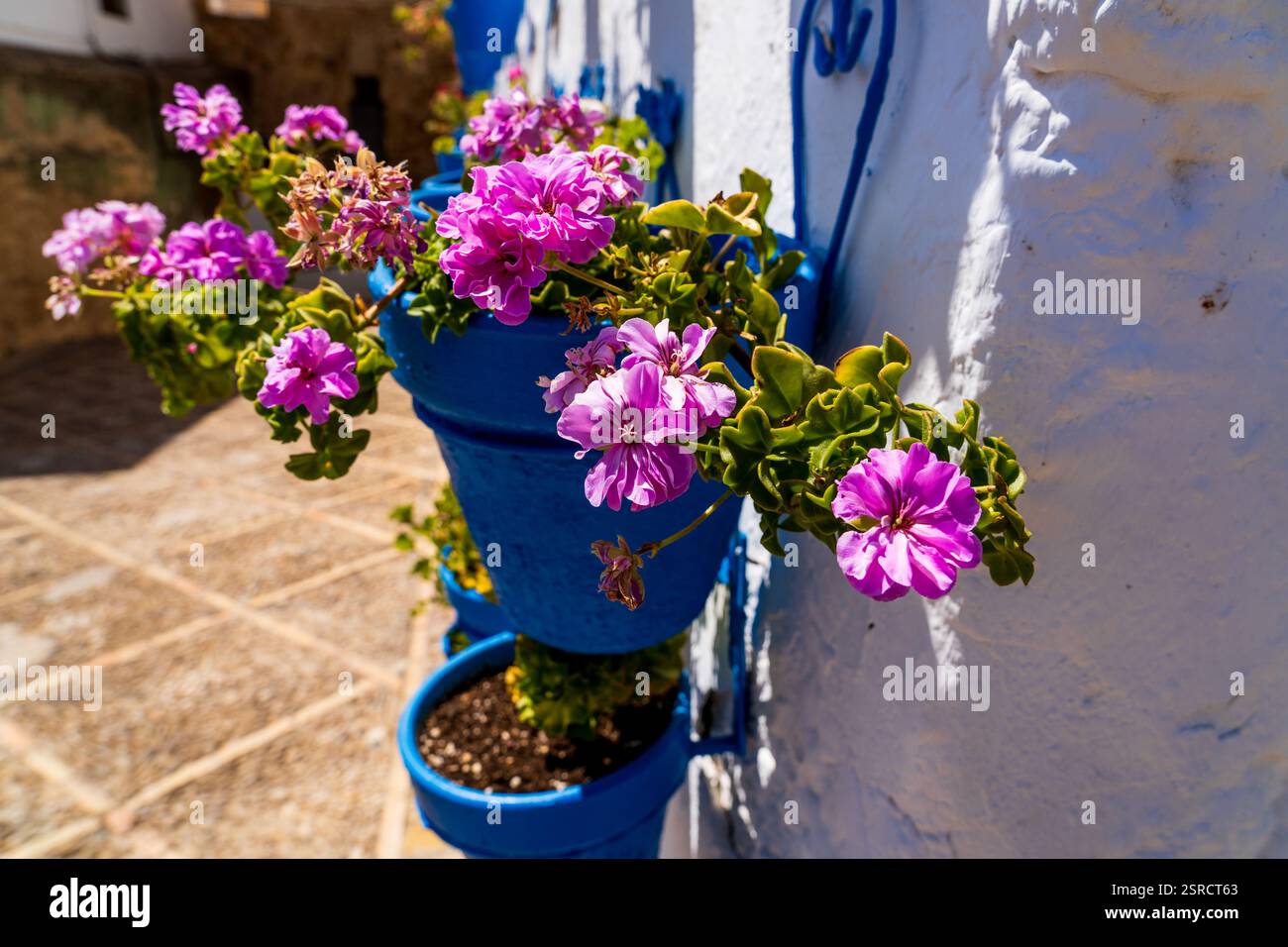 Gerani rosa vividi in pentole blu su un muro bianco illuminato dal sole nel villaggio andaluso di Iznajar Foto Stock