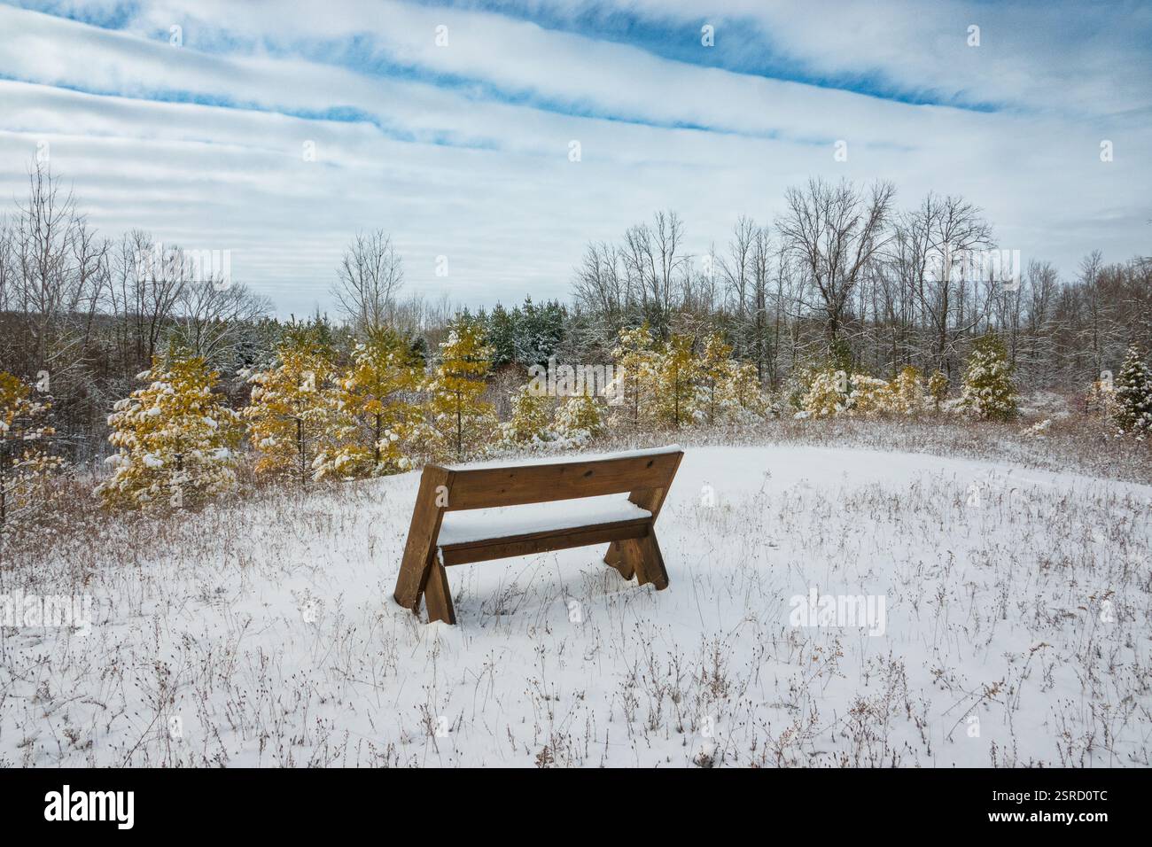 Uno dei miei hotel preferiti dal Door County Land Trust per le racchette da neve è la Oak Road Preserve, situata nel centro della contea di Door, Wisconsin Foto Stock