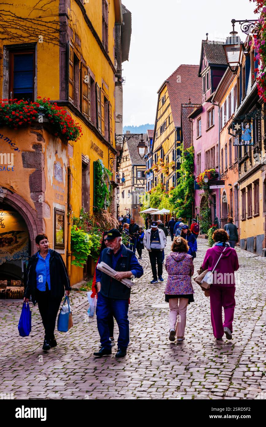 Strada con case colorate e in legno. Riquewihr, Sainte-Marie-aux-Mines, Colmar-Ribeauvillé, Haut-Rhin, Grand Est, Francia, Europa Foto Stock