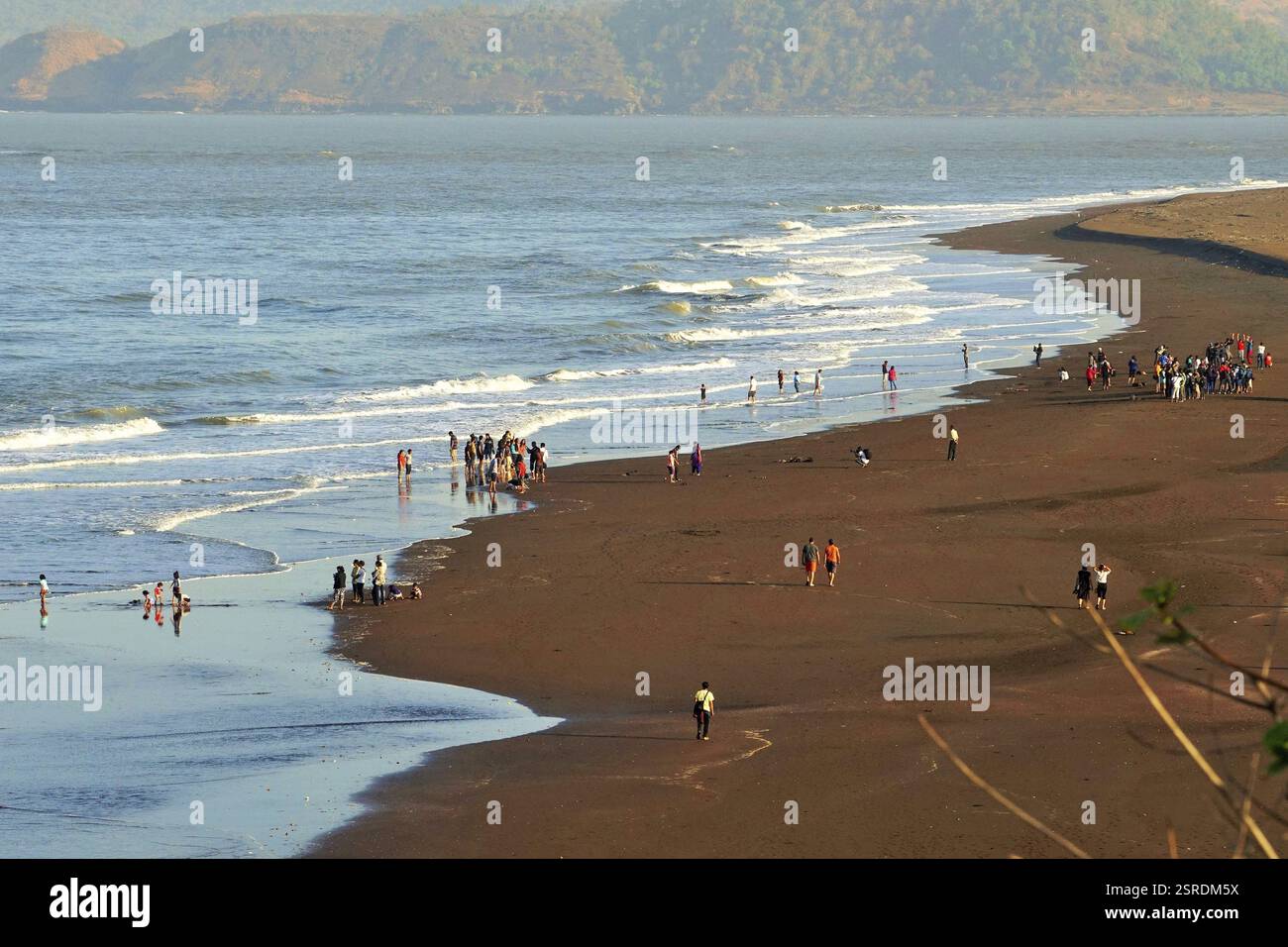 Velas beach, Ratnagiri, Maharashtra, India, Asia Foto Stock