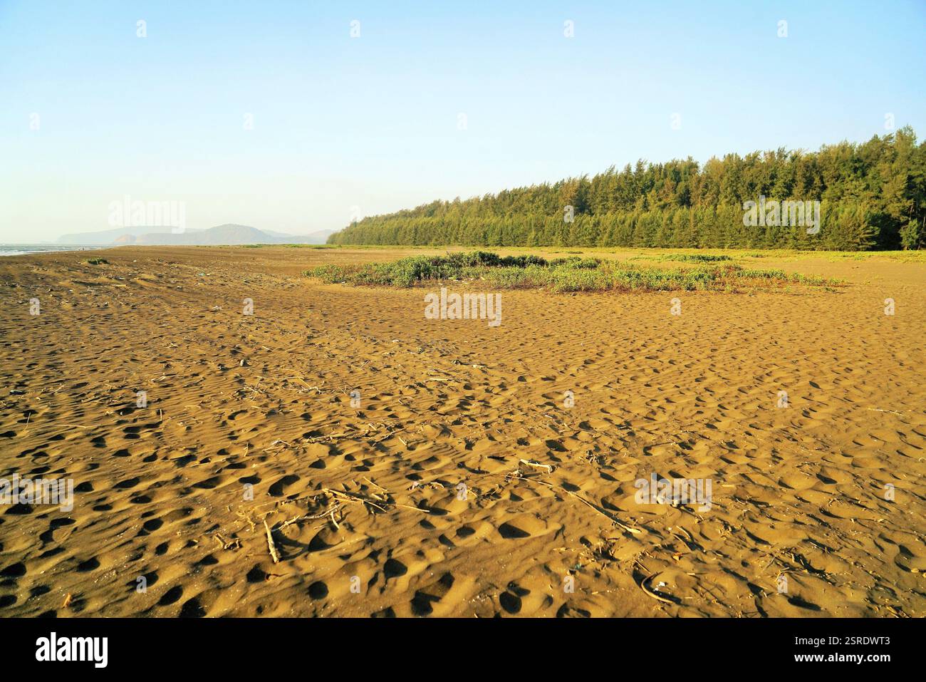 Velas beach, Ratnagiri, Maharashtra, India, Asia Foto Stock