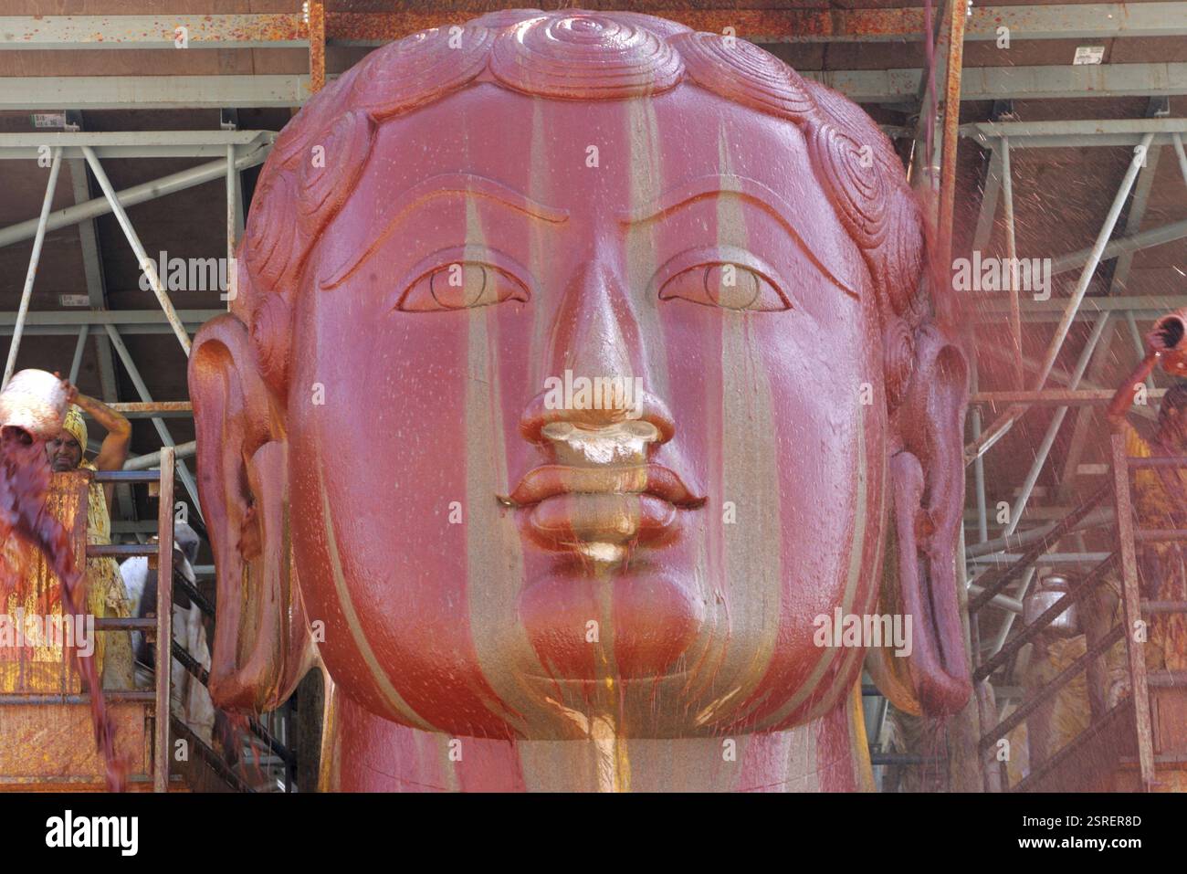Acqua di Vermilion che versa su una statua alta diciotto metri del santo gomateshwara bahubali di bhagwan nel festival giainista di mahamasthakabhisheka, Shravanabelagola i Foto Stock