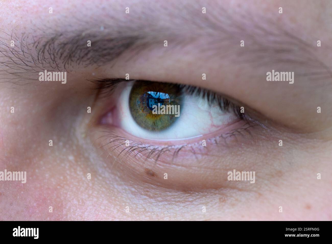 Un dettagliato primo piano di un occhio umano con un Iris marrone-verdastro, che riflette una scena all'aperto con edifici e un cielo blu. Foto Stock