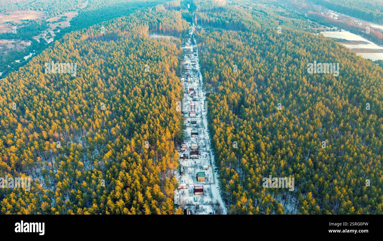 Vista dall'alto di un villaggio situato in una foresta di pini in una nevosa serata invernale Foto Stock