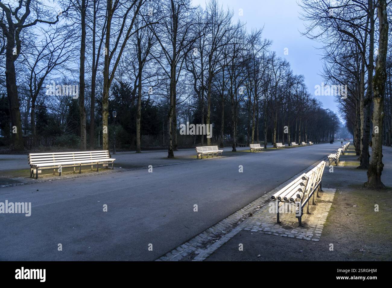 Le panchine luminose dell'artista Stefan Sous nell'Hofgarten, dal titolo UV-A UV-B, 14 mostre completamente rinnovate della mostra d'arte Hell-gra del 2002 Foto Stock