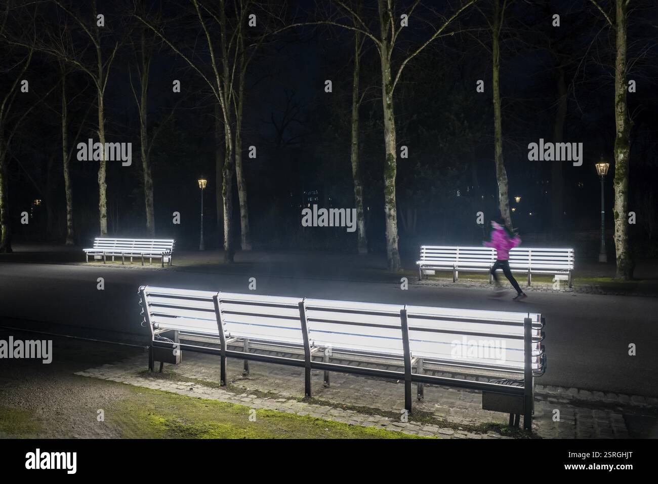 Le panchine luminose dell'artista Stefan Sous nell'Hofgarten, dal titolo UV-A UV-B, 14 mostre completamente rinnovate delle 2002 opere d'arte grigio chiaro exhibiti Foto Stock