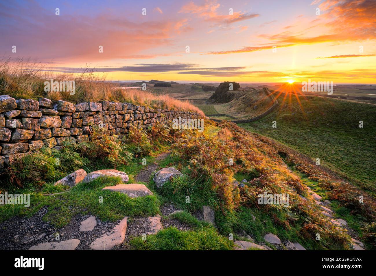 La vibrante alba estiva al Vallo di Adriano si affaccia sui Crags di Cuddy mentre il sole arriva all'orizzonte. Northumberland, Regno Unito. Foto Stock