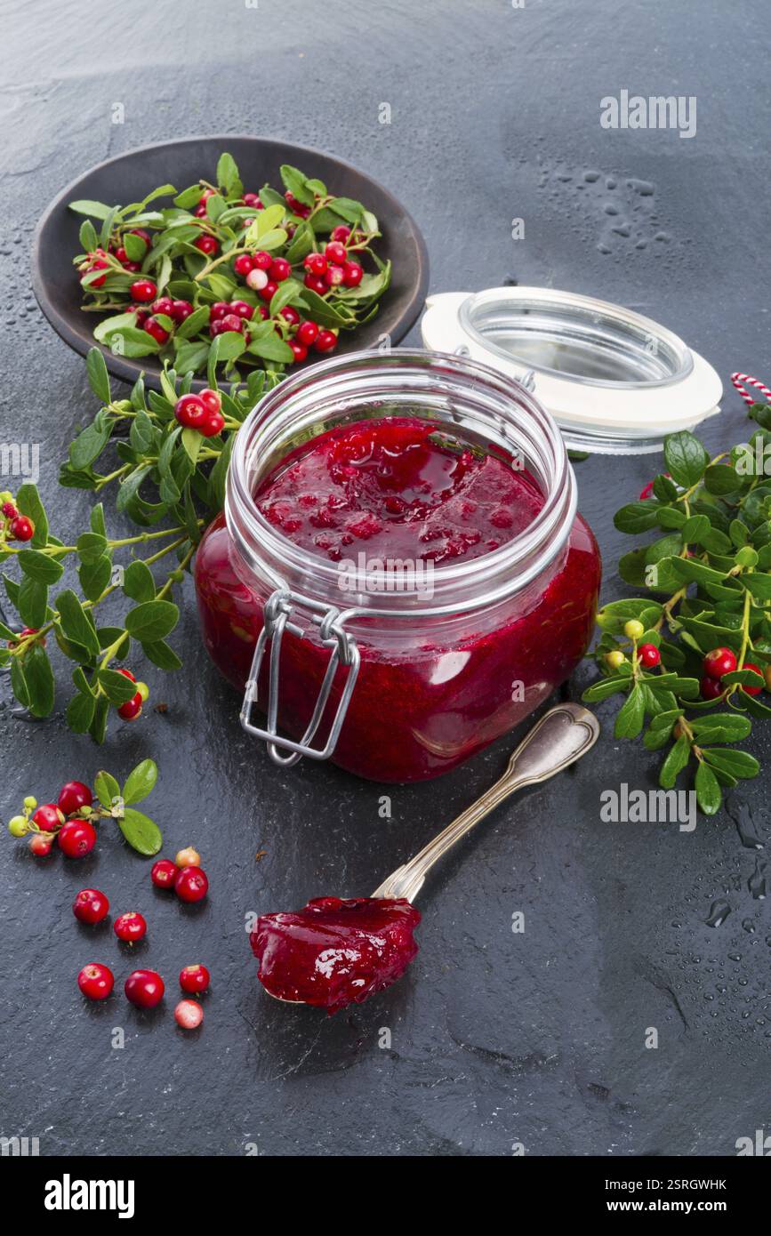 Marmellata di mirtilli rossi Foto Stock