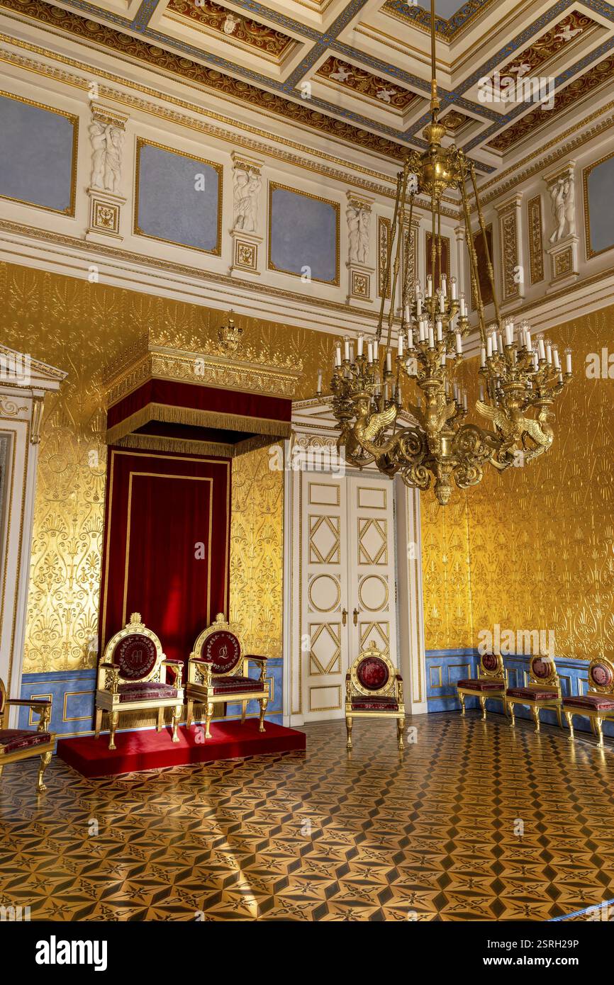La sala del Trono della Regina (Regina Teresa) nella residenza di Monaco, Monaco, alta Baviera, Baviera, Germania, Europa Foto Stock