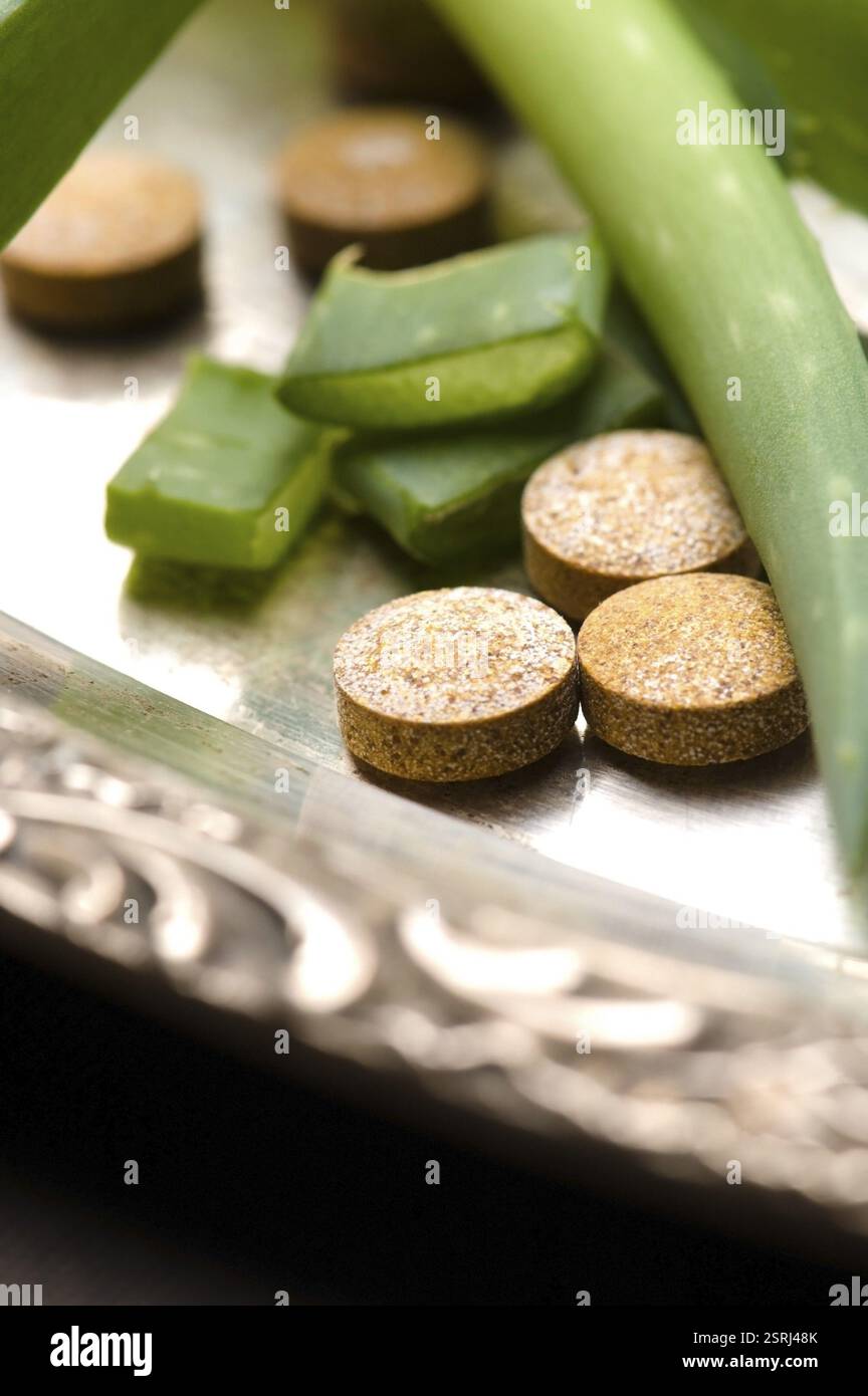 Aloe vera - erboristeria, polonia Foto Stock