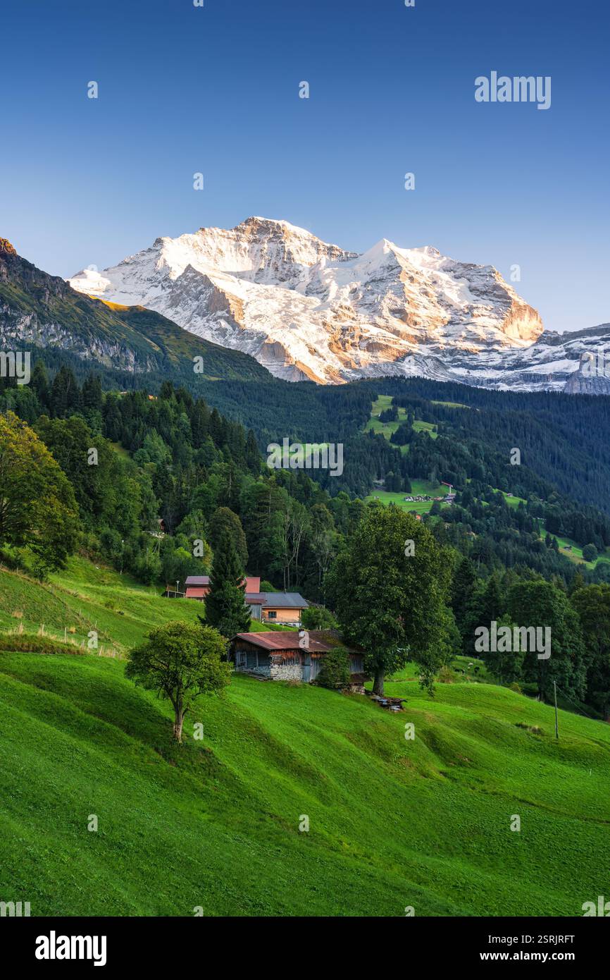 Paesaggio di montagna innevata Jungfrau con chalet rustico in collina nel villaggio di montagna Wengen sulle Alpi Bernesi, Svizzera Foto Stock