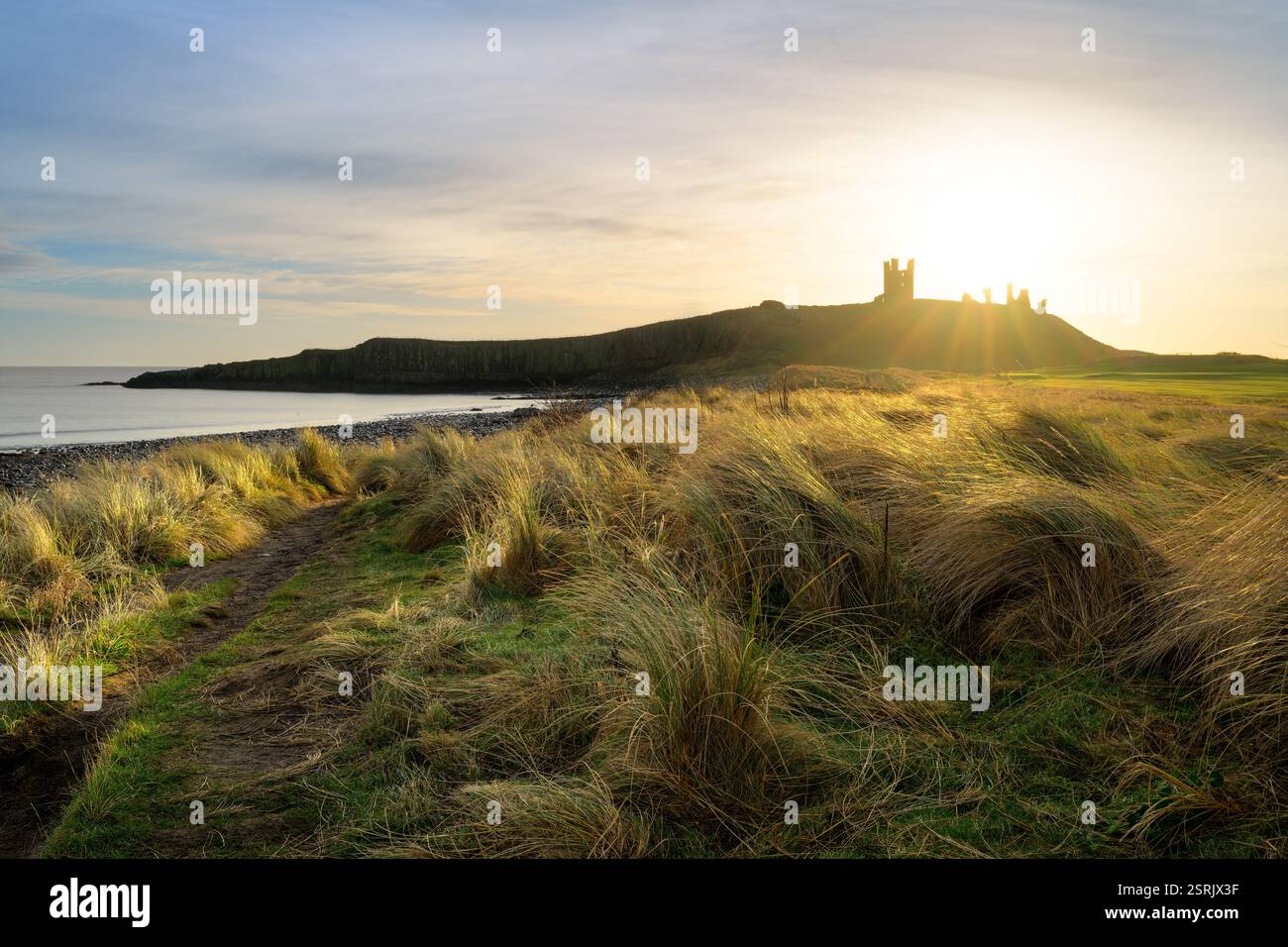 Luce dorata sulle dune di sabbia del castello di Dunstanburgh sulla costa di Northumberland, Regno Unito. Foto Stock