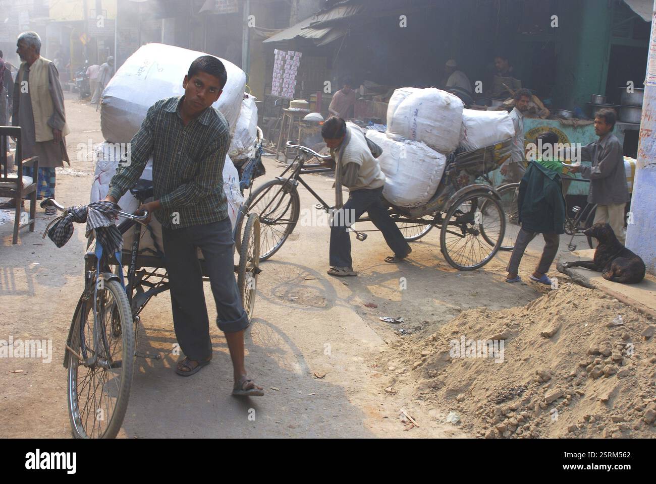 Ragazzi che trascinano merci pesanti in risciò ciclabile, Lucknow, Uttar Pradesh, India NO MR Foto Stock