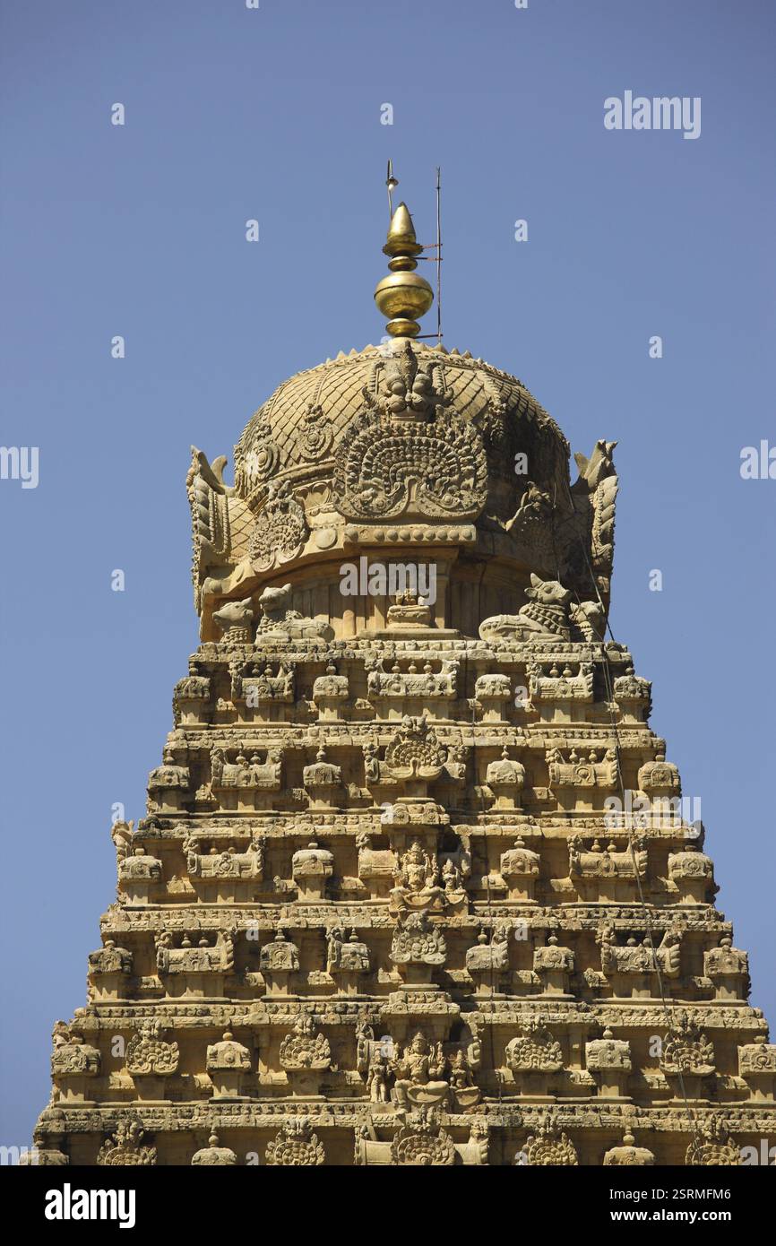 Tempio Brihadishwara Vishwakarmas Tamilnadu India Foto Stock
