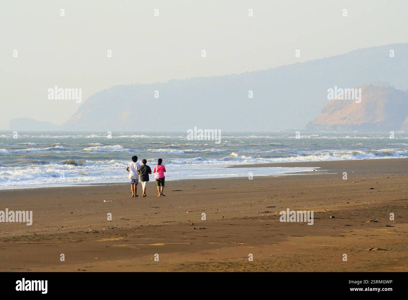 Velas beach, Ratnagiri, Maharashtra, India, Asia Foto Stock