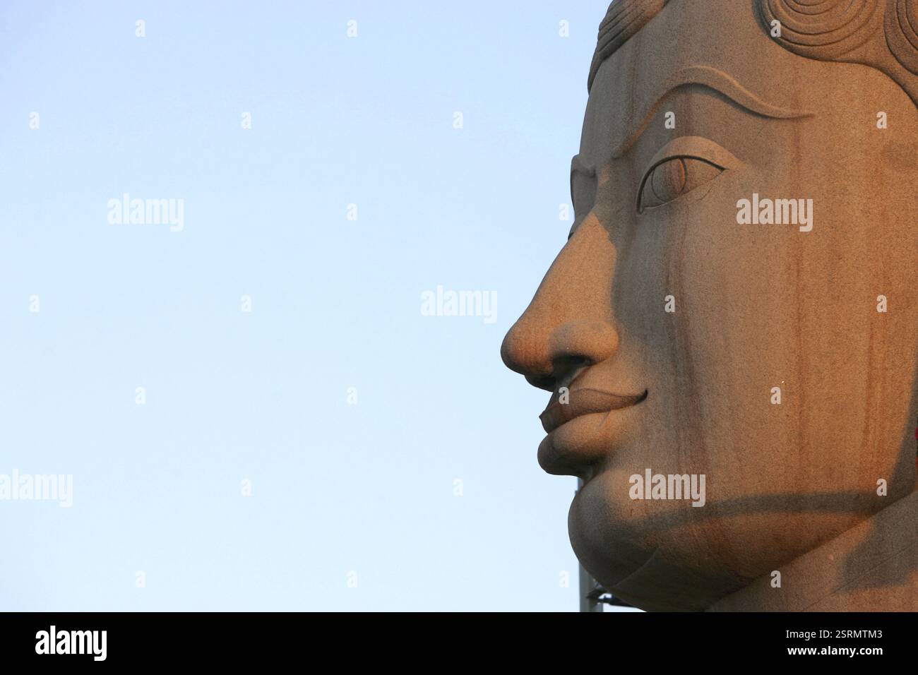 Statua alta diciotto metri del santo gomateshwara bahubali di bhagwan durante il festival giainista di mahamasthakabhisheka, Shravanabelagola a Karnataka, India Febr Foto Stock