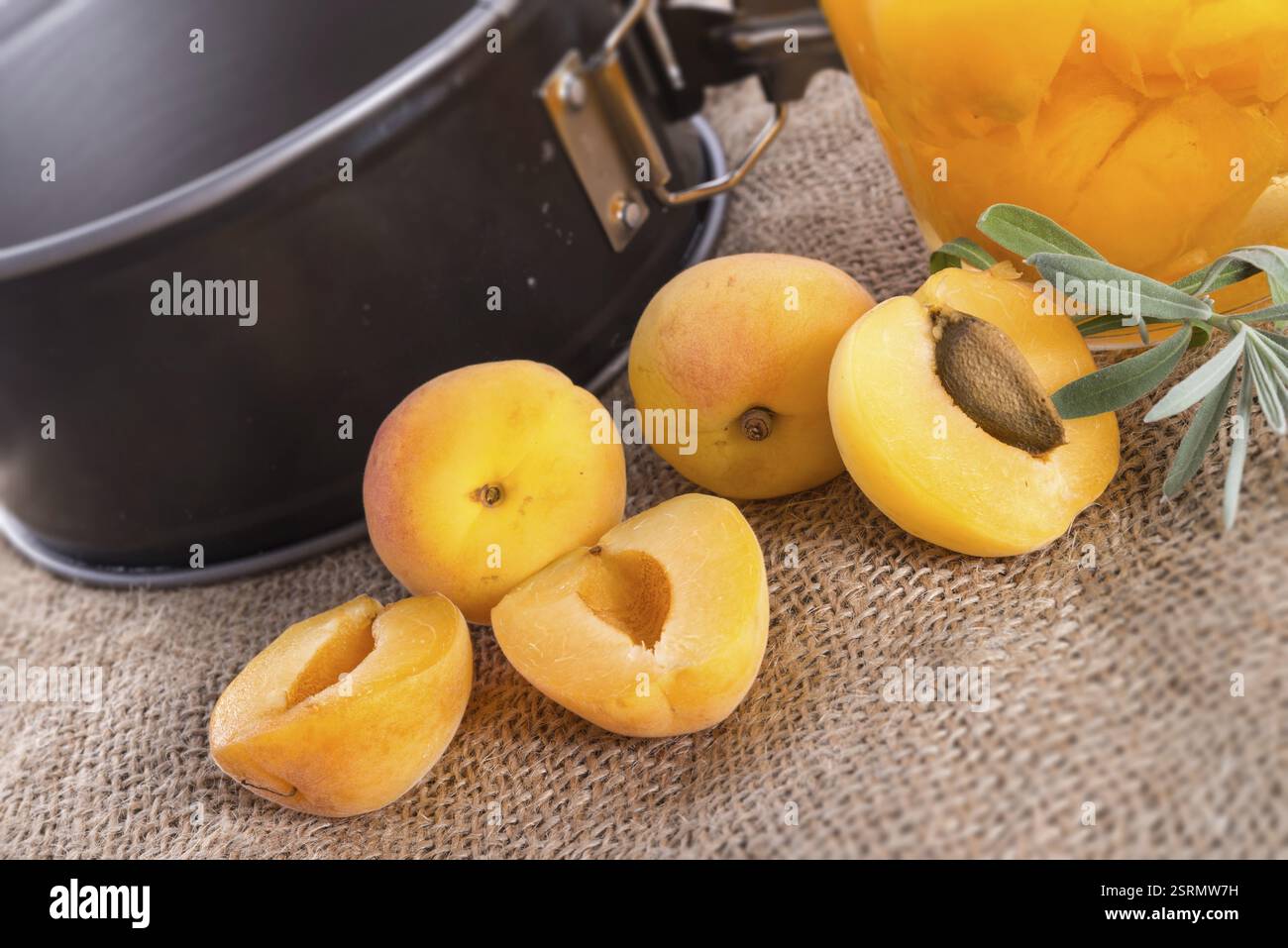 Mirabelle Foto Stock