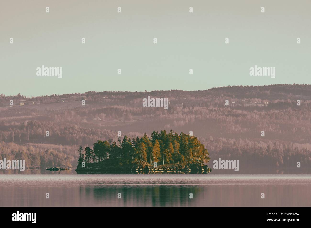 Vista verso la piccola isola Steinsholmen nel lago Mjøsa, dove si trovano le antiche rovine di Mjøskastellet. Foto Stock