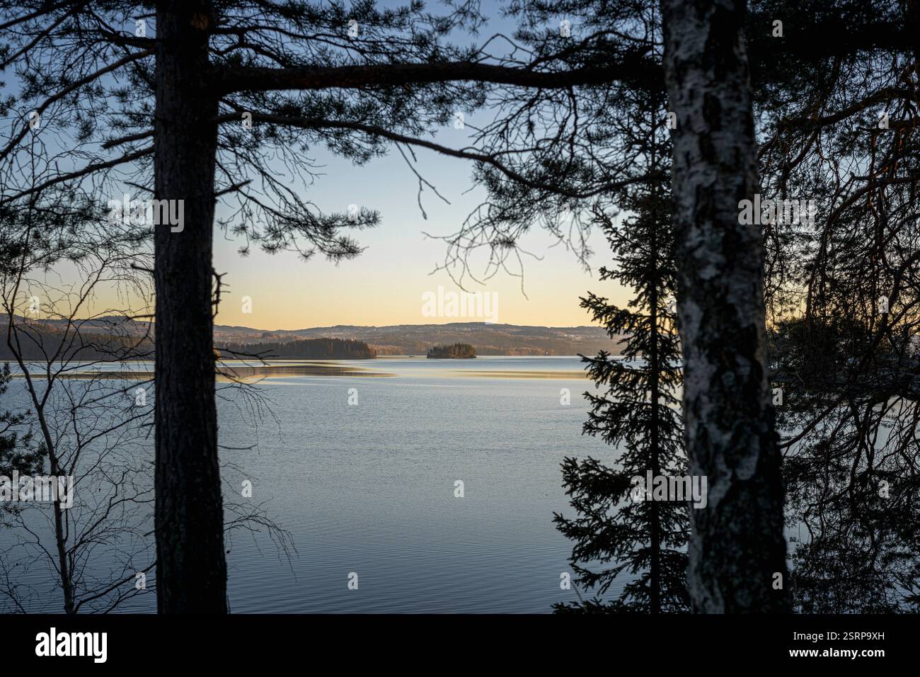 Vista verso la piccola isola Steinsholmen nel lago Mjøsa, dove si trovano le antiche rovine di Mjøskastellet. Foto Stock