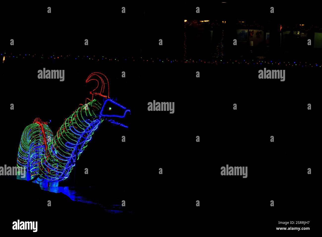Drago illuminato fatto di luci colorate Foto Stock