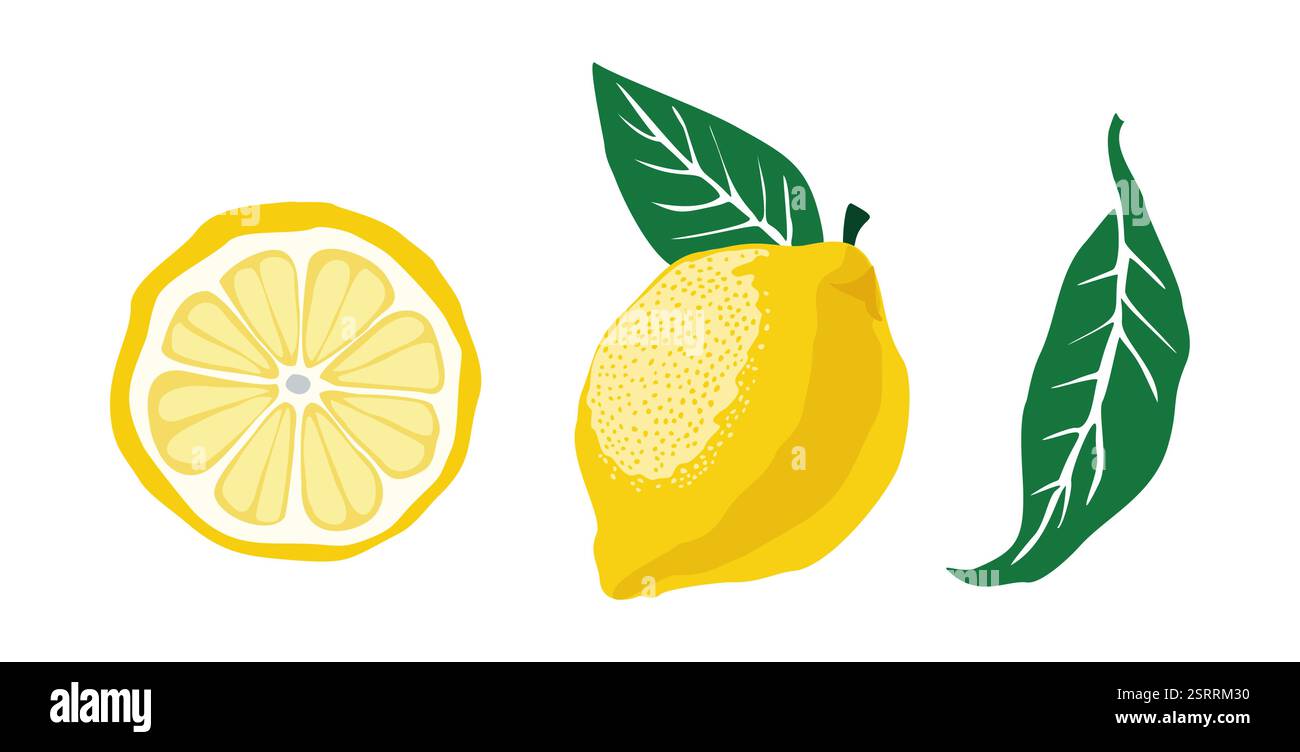 Set di un limone, una fetta di limone e una foglia. Illustrazione Vettoriale