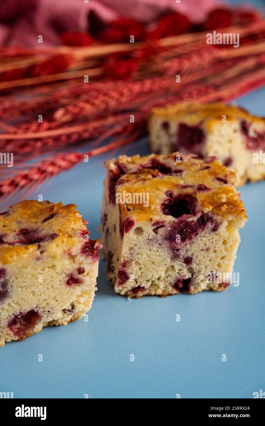 Deliziose piazze umide con lamponi e cioccolato bianco, splendidamente esposte su uno sfondo blu pastello. Una composizione vivace e appetitosa, Foto Stock