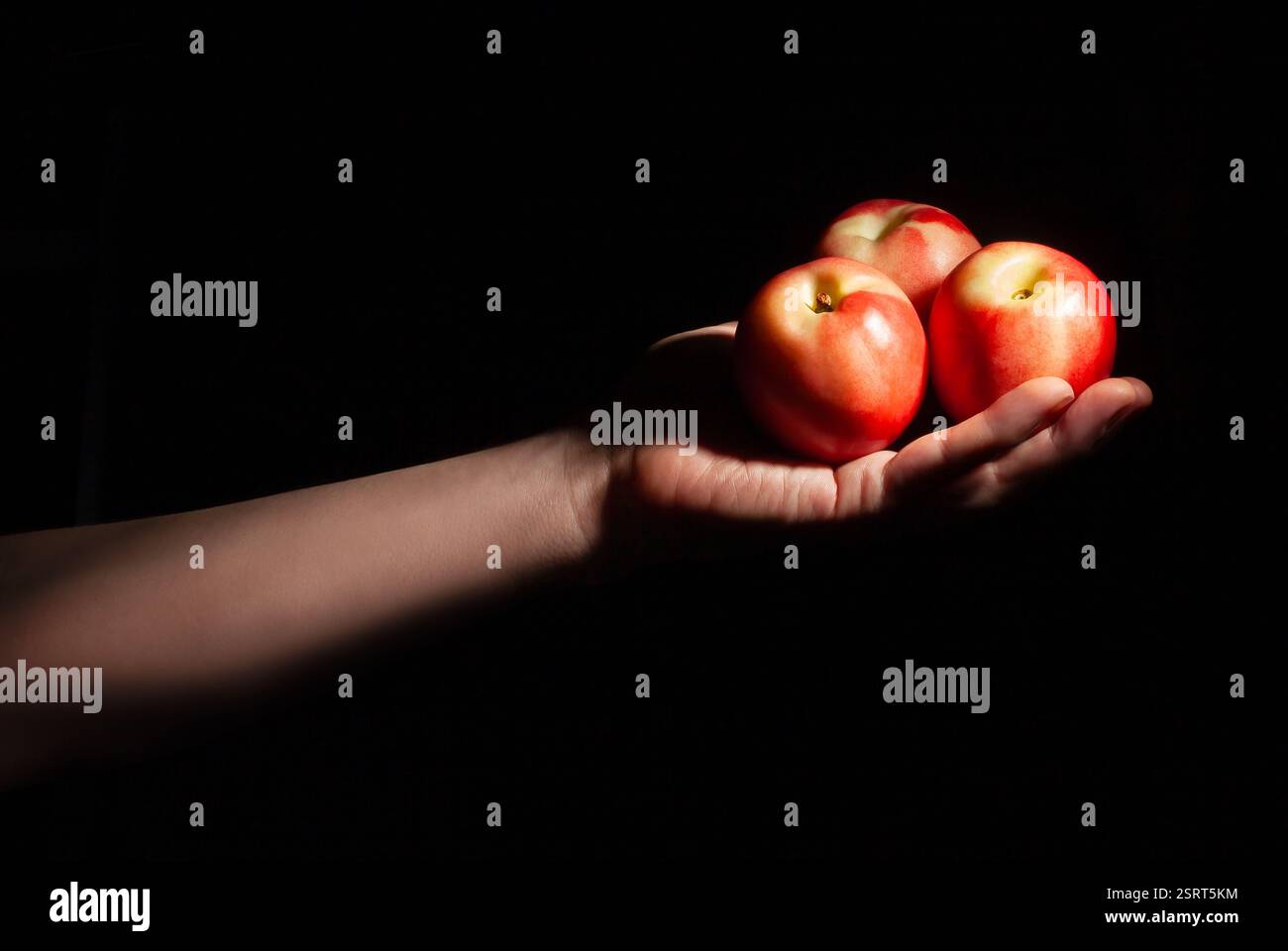 nettarina bianca in mano su sfondo nero Foto Stock