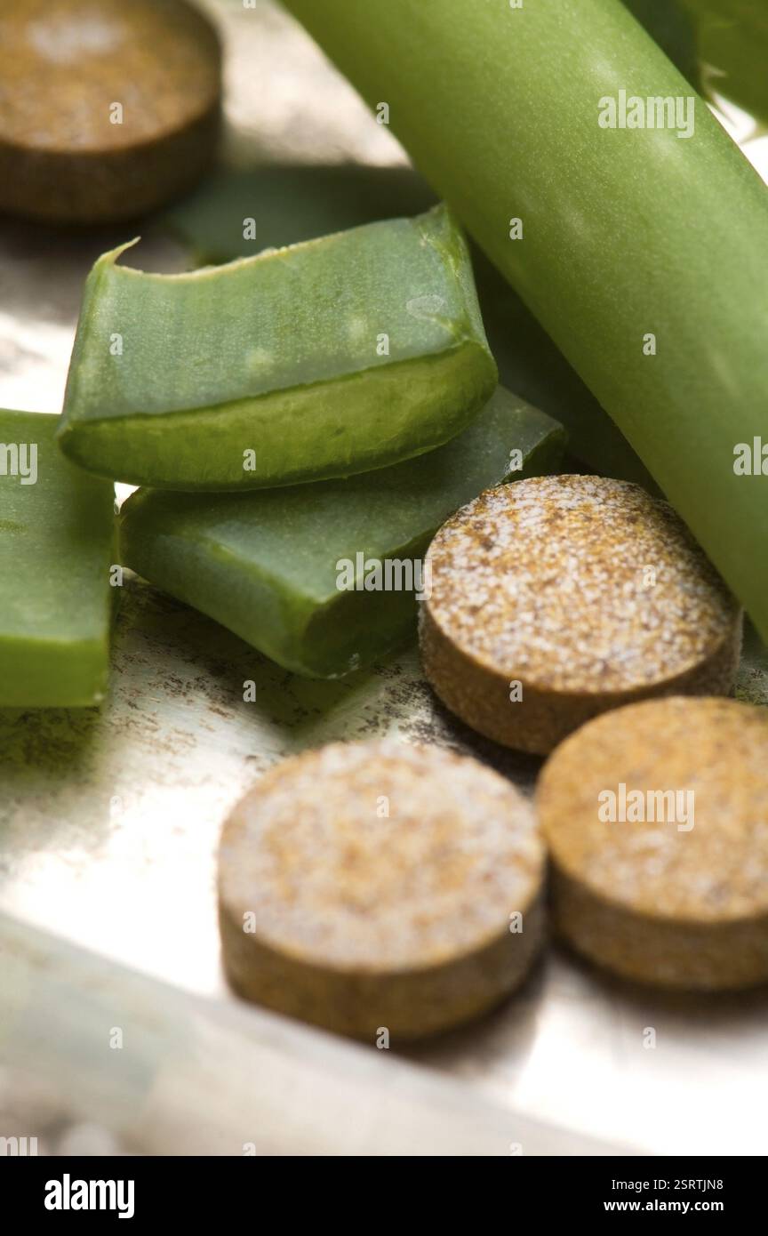 Aloe vera - erboristeria, polonia Foto Stock